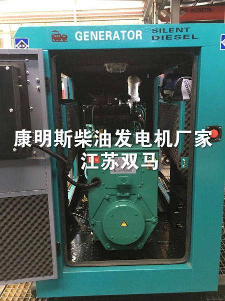 經驗豐富的康明斯柴油發電機廠家