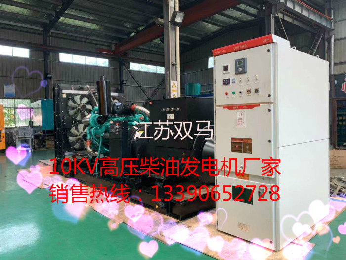 高壓柴油發(fā)電機(jī)廠家江蘇雙馬