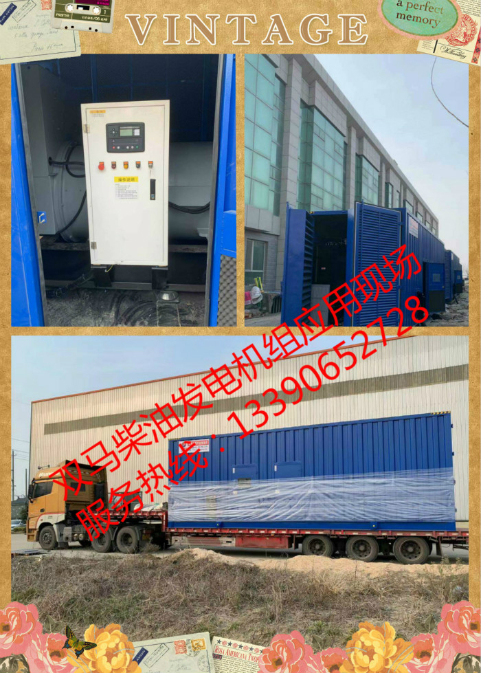 雙馬柴油發電機組新疆阿克蘇項目現場實拍 _meitu_2