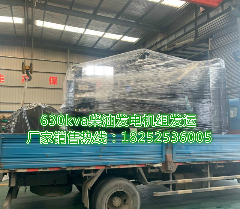 630kva上柴股份柴油發(fā)電機組 (1)_meitu_4